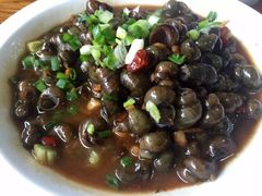 -大树下饭店(春晓镇慈岙社区卫生服务站南)