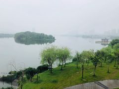 -飞来湖湿地公园