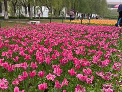 -长白岛森林公园