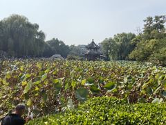 -莲池书院博物馆