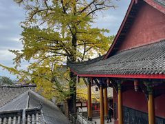 -金堂县云顶石城风景区