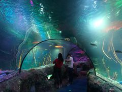 -沈阳海洋探索中心