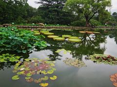 -国家植物园南园