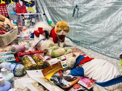 -吴山路夜市