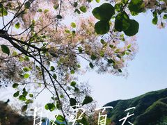 -周口店坡峰岭风景区
