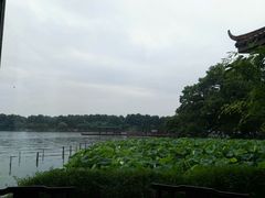 -湖畔居茶楼(湖滨店)
