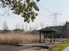-长田漾湿地公园