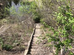 -白水寺森林公园