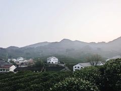-龙井壹号·茶缘山景宴(龙井村店)