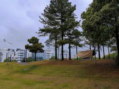 -美兰湖景区
