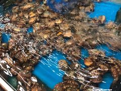 -万宝海鲜舫(劳动公园店)