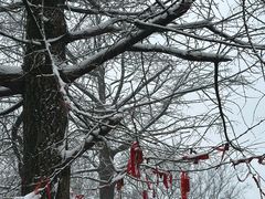 -冶父山国家森林公园