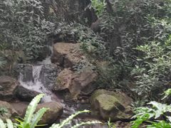 -广州兰圃