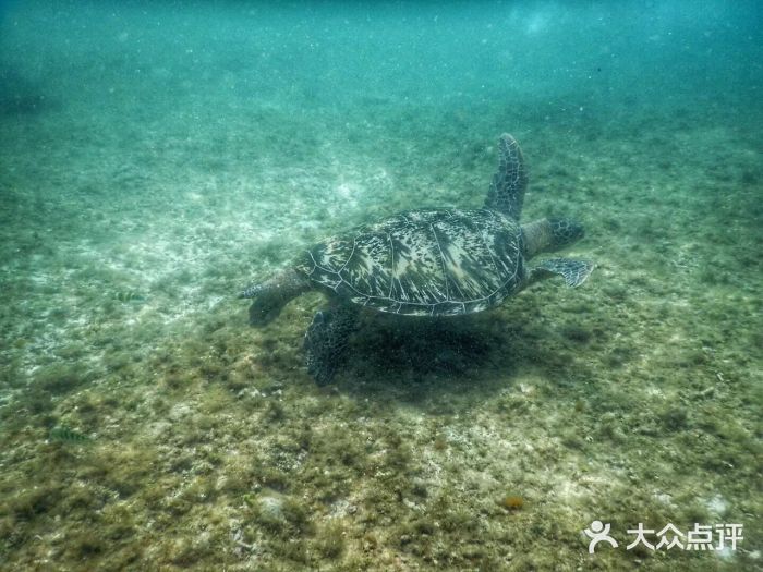 阿波岛图片