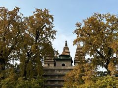 -北京石刻艺术博物馆(五塔寺)