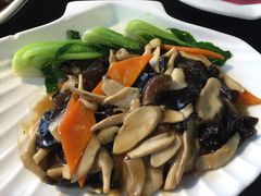 -云中小雅