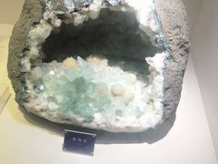 -安徽省地质博物馆