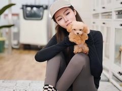 -青奢宠物·青奢猫舍