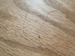 -程记甫胡辣汤(总店)