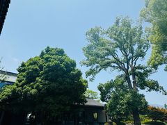 -雅达·阳羡溪山小镇中心