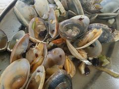 -那琴半岛地质海洋公园