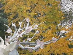 景点-后襄河公园