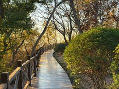 -南京市江宁方山