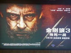-奥斯卡升龙国际影城(RealD Cinema)