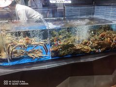 -徐记海鲜·宴会(大唐西市|丰庆店)