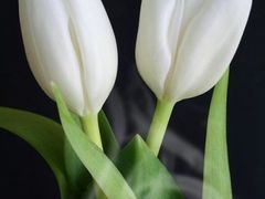 -两江幸福广场