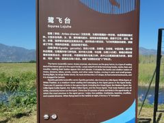 -野鸭湖国家湿地公园