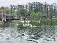 -武汉动物园