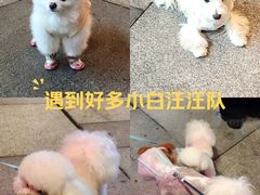 -瑞虹新天地月亮湾