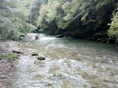 -黎坪国家森林公园