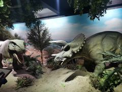 -国家自然博物馆