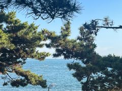 -八大关景区
