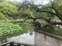 -忠山公园