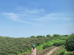 -平湖九龙山旅游度假区