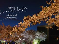 -龙美术馆(西岸馆)