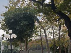 -荔枝公园(福田区)