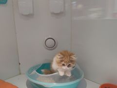 -龟与熊猫宠物公园(南坪店)