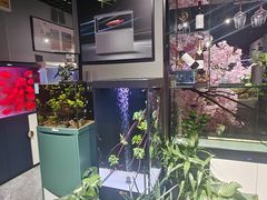 -苏州艺都古玩花鸟市场