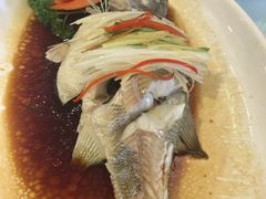 清蒸鲈鱼-小贝壳酒楼(经九路店)