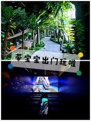 -恐龙探索乐园(磁器口店)