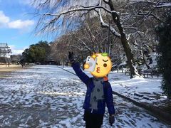 -名古屋城
