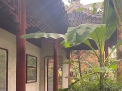 -秋霞圃