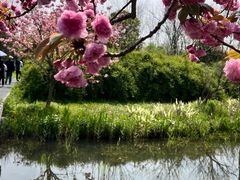 -溱湖国家湿地公园