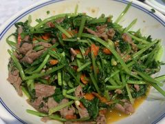 -壹盏灯(惠农店)