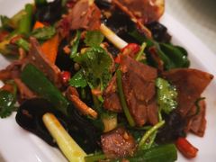 蒜泥牛腱子-双井轩(双井店)