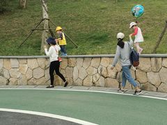 -飞凤山奥体公园
